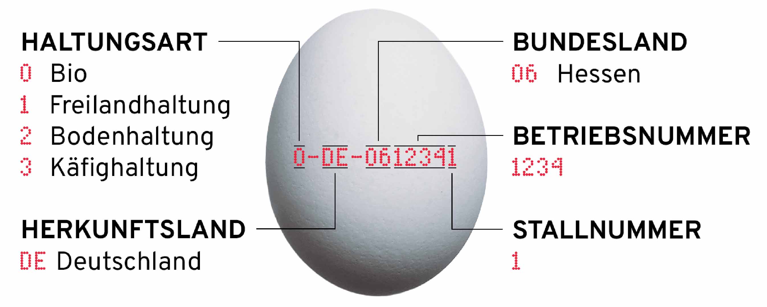 Grafische Erklärung der Bedeutung der Eierkennzeichnung