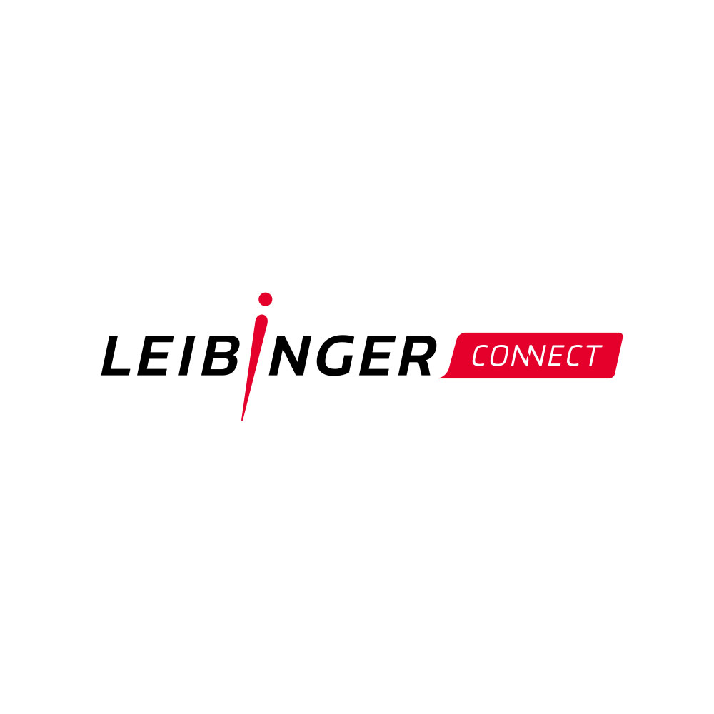 Leibinger connect Logo