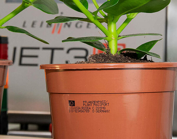 Pflanzenpass Aufdruck auf Pflanztopf (Detail)