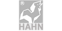 Hahn Logo